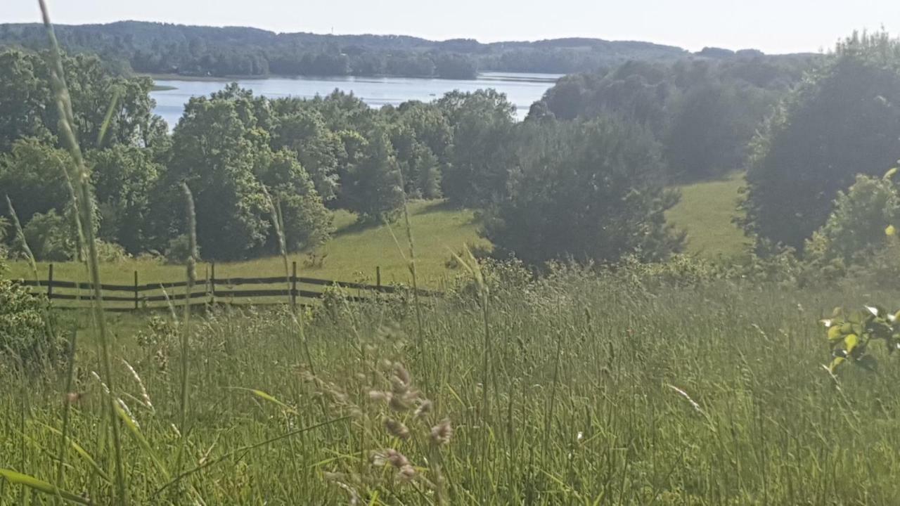 Willa Młyn Z Pasją Gaski  Zewnętrze zdjęcie